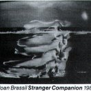Catalogue image from Joan Brassil's Stranger Companion, one of the installations at the Art Gallery of NSW.