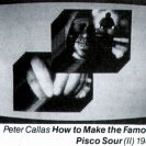 Catalogue image from Peter Callas's How to Make the Famous Pisco Sour (1986), one of the installations at the Art Gallery of NSW.