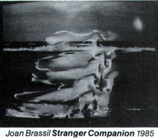 Catalogue image from Joan Brassil's Stranger Companion, one of the installations at the Art Gallery of NSW.