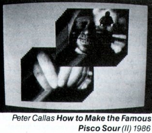 Catalogue image from Peter Callas's How to Make the Famous Pisco Sour (1986), one of the installations at the Art Gallery of NSW.