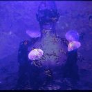 From [Aqualux], via <a href=_http_/archive.dlux.org.au/indexcea5.html?page=artworks&amp;id=978%22>d'archive</a>