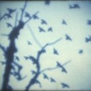 From :plugins, drifting.., via <a href=_http_/archive.dlux.org.au/indexd3ec.html?page=artworks&amp;id=892%22>d'archive</a>