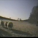 From A Sheep in Wolf's Clothing, via <a href=_http_/archive.dlux.org.au/index574d.html?page=artworks&amp;id=1217%22>d'archive</a>