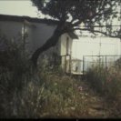 From About Green Things, via <a href=_http_/archive.dlux.org.au/indexf1d4.html?page=artworks&amp;id=1209%22>d'archive</a>