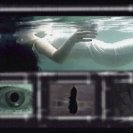 From Anemones, via <a href=_http_/archive.dlux.org.au/index2f98.html?page=artworks&amp;id=879%22>d'archive</a>