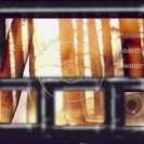 From Anemones, via <a href=_http_/archive.dlux.org.au/index2f98.html?page=artworks&amp;id=879%22>d'archive</a>