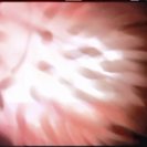 From Beat, Rhythm, Anima, via <a href=_http_/archive.dlux.org.au/index7549.html?page=artworks&amp;id=1142%22>d'archive</a>