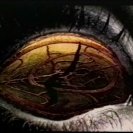 From Clan Analogue Live, via <a href=_http_/archive.dlux.org.au/index4209.html?page=artworks&amp;id=1221%22>d'archive</a>