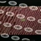 From Clan Analogue Live, via <a href=_http_/archive.dlux.org.au/index4209.html?page=artworks&amp;id=1221%22>d'archive</a>