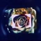 From Colours, via <a href=_http_/archive.dlux.org.au/indexffa8.html?page=artworks&amp;id=94%22>d'archive</a>