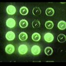 From Data Panic, via <a href=_http_/archive.dlux.org.au/index1f57.html?page=artworks&amp;id=292%22>d'archive</a>