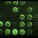 From Data Panic, via <a href=_http_/archive.dlux.org.au/index1f57.html?page=artworks&amp;id=292%22>d'archive</a>