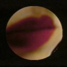 From Devil in the Flesh, via <a href=_http_/archive.dlux.org.au/index5323.html?page=artworks&amp;id=1218%22>d'archive</a>