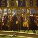 From Equestrian, via <a href=_http_/archive.dlux.org.au/index83da.html?page=artworks&amp;id=106%22>d'archive</a>