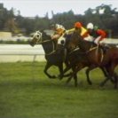 From Equestrian, via <a href=_http_/archive.dlux.org.au/index83da.html?page=artworks&amp;id=106%22>d'archive</a>