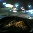 From Flutter, via <a href=_http_/archive.dlux.org.au/index0aec.html?page=artworks&amp;id=1246%22>d'archive</a>