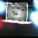 From Flutter, via <a href=_http_/archive.dlux.org.au/index0aec.html?page=artworks&amp;id=1246%22>d'archive</a>