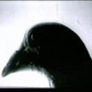 From Flutter, via <a href=_http_/archive.dlux.org.au/index0aec.html?page=artworks&amp;id=1246%22>d'archive</a>