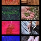 From gins_leap / dubb_speak, via <a href=_http_/archive.dlux.org.au/index68fb.html?page=artworks&id=1265%22>d'archive</a> From gins_leap / dubb_speak, via <a href=_http_/archive.dlux.org.au/index68fb.html?page=artworks&id=1265%22>d'archive</a>