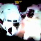 From Goodbye Tonsils, via <a href=_http_/archive.dlux.org.au/index583e.html?page=artworks&amp;id=1223%22>d'archive</a>