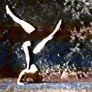 From Hors D'oeuvres Anyone?, via <a href=_http_/archive.dlux.org.au/index0b78.html?page=artworks&amp;id=224%22>d'archive</a>