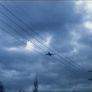 From Imitation of life, via <a href=_http_/archive.dlux.org.au/index7737.html?page=artworks&amp;id=460%22>d'archive</a>