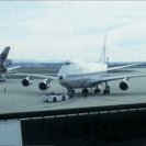 From Imitation of life, via <a href=_http_/archive.dlux.org.au/index7737.html?page=artworks&amp;id=460%22>d'archive</a>