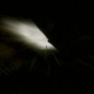 From Little Echo Lost, via <a href=_http_/archive.dlux.org.au/index8391.html?page=artworks&amp;id=1211%22>d'archive</a>