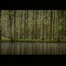 From Little Echo Lost, via <a href=_http_/archive.dlux.org.au/index8391.html?page=artworks&amp;id=1211%22>d'archive</a>