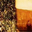 From Long Shadows, via <a href=_http_/archive.dlux.org.au/index89e0.html?page=artworks&amp;id=123%22>d'archive</a>