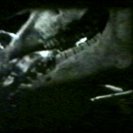 From Nashing, via <a href=_http_/archive.dlux.org.au/indexeaaf.html?page=artworks&amp;id=218%22>d'archive</a>