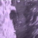 From On The Surface, via <a href=_http_/archive.dlux.org.au/indexb246.html?page=artworks&amp;id=235%22>d'archive</a>