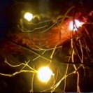 From Other Loves, via <a href=_http_/archive.dlux.org.au/indexdf85.html?page=artworks&amp;id=104%22>d'archive</a>