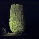 From Other Loves, via <a href=_http_/archive.dlux.org.au/indexdf85.html?page=artworks&amp;id=104%22>d'archive</a>