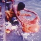 From Padmini, via <a href=_http_/archive.dlux.org.au/index7f73.html?page=artworks&amp;id=134%22>d'archive</a>