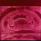 From Planet Of the Vampires, via <a href=_http_/archive.dlux.org.au/indexd99c.html?page=artworks&amp;id=182%22>d'archive</a>