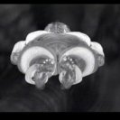 From Rapt, via <a href=_http_/archive.dlux.org.au/index1e77.html?page=artworks&amp;id=288%22>d'archive</a>