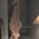 From Replicunt, via <a href=_http_/archive.dlux.org.au/indexaa5c.html?page=artworks&amp;id=1078%22>d'archive</a>