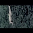 From Sorry, via <a href=_http_/archive.dlux.org.au/index57d3.html?page=artworks&amp;id=979%22>d'archive</a>