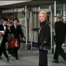 From The Birds, via <a href=_http_/archive.dlux.org.au/indexf44c.html?page=artworks&amp;id=1133%22>d'archive</a>