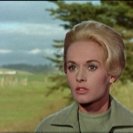 From The Birds, via <a href=_http_/archive.dlux.org.au/indexf44c.html?page=artworks&amp;id=1133%22>d'archive</a>