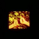 From The Illustrated Auschwitz, via <a href=_http_/archive.dlux.org.au/indexa3e1.html?page=artworks&amp;id=144%22>d'archive</a>