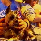 From The Phone Call, via <a href=_http_/archive.dlux.org.au/index5a2f.html?page=artworks&amp;id=105%22>d'archive</a>