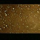 From the residual artifacts of communication, via <a href=_http_/archive.dlux.org.au/index6783.html?page=artworks&amp;id=1247%22>d'archive</a>