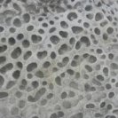 From The Wind Calls Your Name, via <a href=_http_/archive.dlux.org.au/indexf50b.html?page=artworks&amp;id=976%22>d'archive</a>