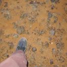 From The Wind Calls Your Name, via <a href=_http_/archive.dlux.org.au/indexf50b.html?page=artworks&amp;id=976%22>d'archive</a>