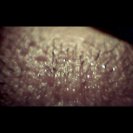 From Traverse, via <a href=_http_/archive.dlux.org.au/index6ed5.html?page=artworks&amp;id=1075%22>d'archive</a>