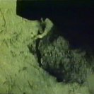 From Treasure, via <a href=_http_/archive.dlux.org.au/indexedf8.html?page=artworks&amp;id=170%22>d'archive</a>