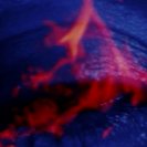 From Vivarium, via <a href=_http_/archive.dlux.org.au/index454c.html?page=artworks&amp;id=138%22>d'archive</a>