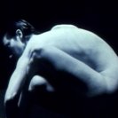 From Vivarium, via <a href=_http_/archive.dlux.org.au/index454c.html?page=artworks&amp;id=138%22>d'archive</a>